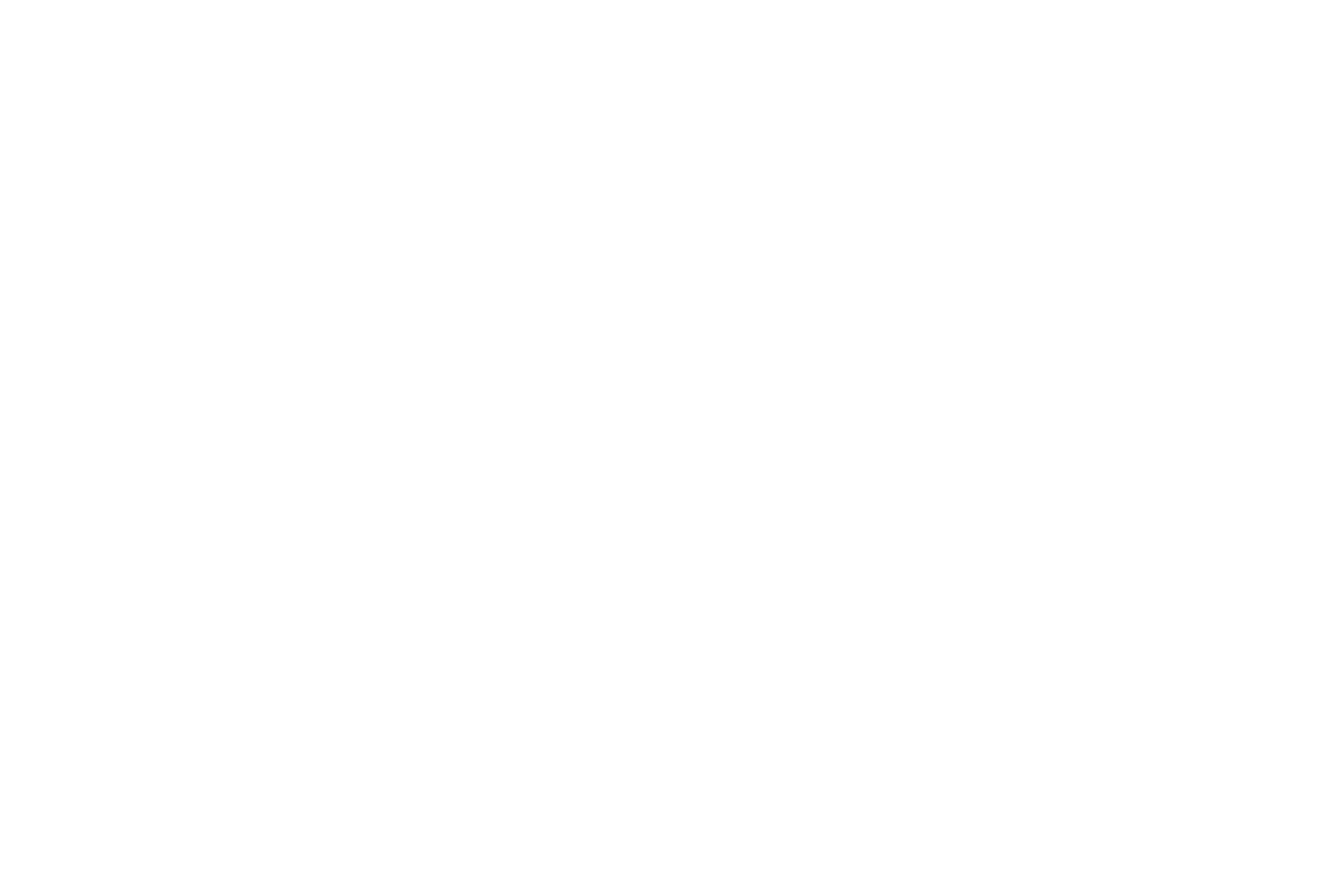 BSS Clever Logistics