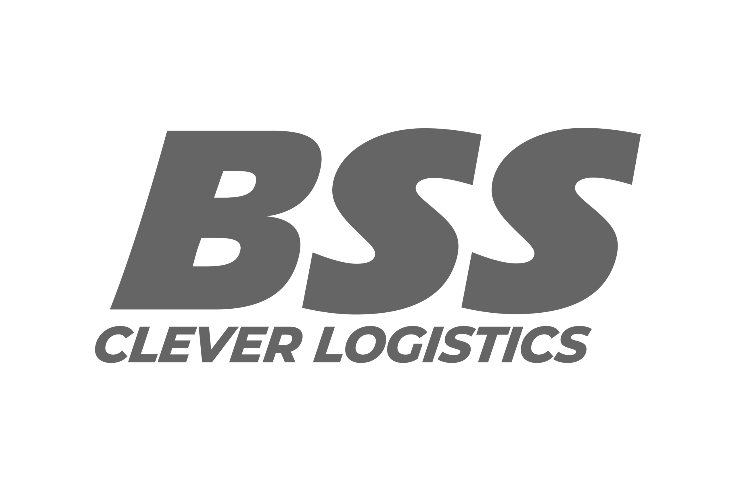 BSS Clever Logistics